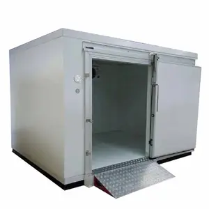 Hot Sale Small Cold Room Freezer Room Cold Room Panel with Cam Lock Custom Size for Sale