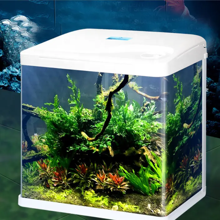 Wholesale Custom Glass Small Aquarium Fish Tank Modern Home Office Bar Counter Decorated Fish Tank Aquarium