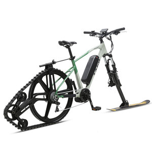 Bicicleta Eléctrica de Nieve de Alta Calidad con Motor Central de 7 Velocidades 36V/350W, Frenos de Disco Mecánicos Delanteros/Traseros, Transmisión de 7 Velocidades con Cambio Suave - Product Image 4