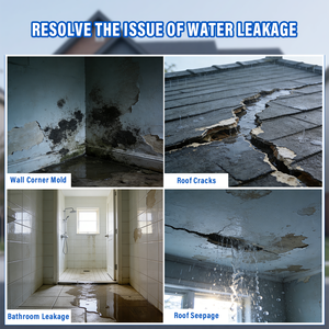 स्व-सीलिंग क्रिस्टलीय वाटरप्रूफ पेंट दरार पानी उपचार संयंत्र पाइअर संरक्षण निर्माण नींव कोटिंग - Product Image 4