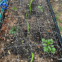 Filet d'échafaudage pour plantes 2*10m Support d'escalade pour plantes Filet de soutien pour plantes pour pois et haricots