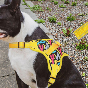 Harnais réfléchissant réglable pour chien Oem Respirant Soft Air Mesh No Pull Starter <span class=keywords><strong>Free</strong></span> Small Medium Puppy <span class=keywords><strong>Dog</strong></span> Pet Harnesses - Product Image 1