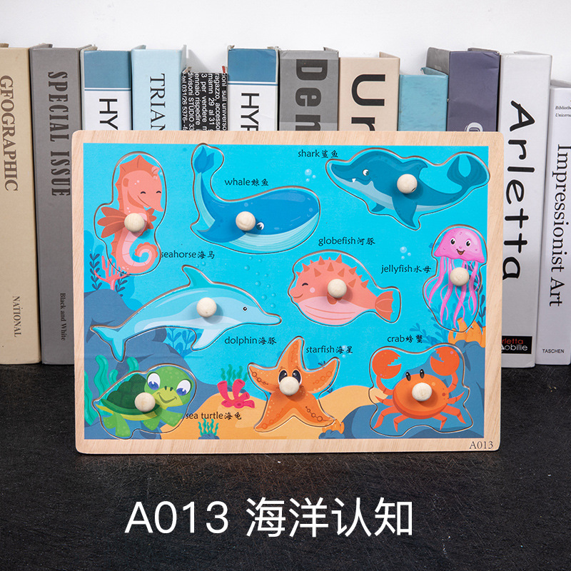 [a013] ocean cognition
