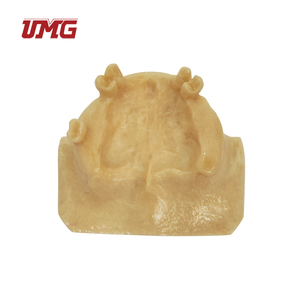 Modelo de Implante Dental para Enseñanza, Modelo de Dientes del Seno Maxilar para Práctica Odontológica - Product Image 5