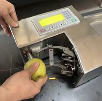 Commerciële Automatische Fruit Schilmachine Elektrische Sinaasappel Appel Citroen Schiller Hoge Snelheid 150W 1-Jaar Garantie Fruit Schil Verwijderaar