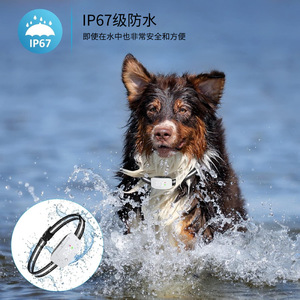Collar Inteligente Antiladridos para Mascotas OB5 con Vibración, Entrenamiento, Resistente al Agua, Equipo para Perros, 1 Año de Duración de la Batería - Product Image 3
