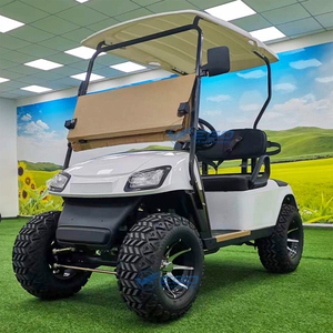 Carrito de Golf de 2 Plazas con Aire Acondicionado, 48V, Nuevo, de Buena Calidad, con Motor de Gasolina Estándar y Luces, en Oferta, de Proveedor Chino - Product Image 5
