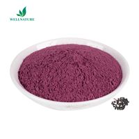 Colorant Alimentaire de Qualité Supérieure d'Usine Anthocyanes 25% Extrait de Fruit de Sureau Noir en Poudre