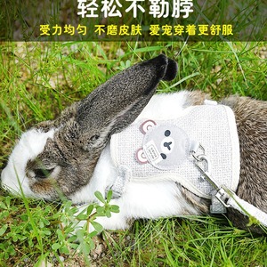 Rabbit Harness Adjustable Vest Style Leash With Cartoon <b>Bear</b> Design For Small Pets Outdoor Walking - Product Image 5