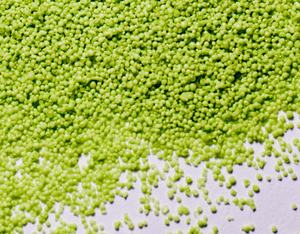 سماد ورقي سريع المفعول من مستخلص الأعشاب البحرية الخضراء لتقوية الشتلات وتوسيع الفاكهة - Product Image 3