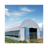 Serre avicole compacte et économique pour l'élevage de poulets avec film PE, isolation thermique, protection contre la pluie, montage facile