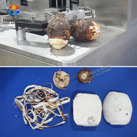 Éplucheur de taro automatique séparant la machine Dasheen Taro Peeling and Cutting Machine