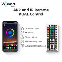 Tira de Luces LED RGBIC Inteligente Tuya DC24V, Control Remoto por WiFi, Sincronización con Música, IP20 IP65, Cambio de Color, Kit de Cinta Flexible