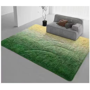 Tapis d'intérieur moderne 4x6 à poils longs, doux et moelleux, en peluche teintée à la machine, adapté aux animaux de compagnie pour les enfants et la chambre à coucher. - Product Image 5