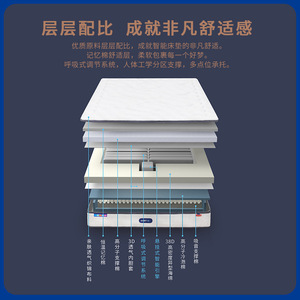 Shushi Smart Mattress M1 Electric Adjustable <b>Memory</b> <b>Foam</b> Independent Firmness Control Bedroom Mattress - Product Image 3