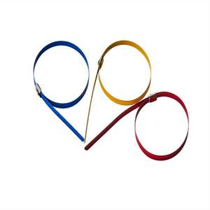 الجملة متعددة الأغراض اللون الفولاذ المقاوم للصدأ سحاب العلاقات كابل-الكرة قفل المغلفة العلاقات - Product Image 6