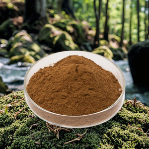 Extrait de Yucca en Poudre de Qualité Alimentaire à Bas Prix, Additif Alimentaire à Base de Plantes, Extrait Herbal par Extraction par Solvant, Conditionné en Bouteille ou en Bidon - <span class=keywords><strong>Wellgreen</strong></span> - Product Image 4