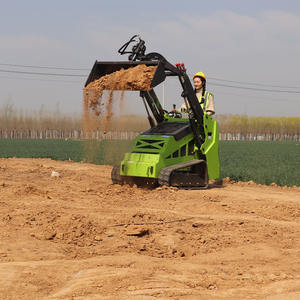 رافعة انزلاقية التوجيه عن بعد فعالة من حيث التكلفة، تقلل من حجم الطاقم وزيادة الإنتاجية، أفضل قيمة لرافعة 560 مع شحن مجاني. - Product Image 2