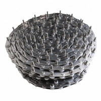 Chaîne à rouleaux en acier inoxydable C2052, chaînes à rouleaux 304 pour élévateur à godets de 1,8 L, chaîne de convoyeur