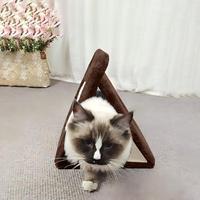 Beliebtes Faltbares Sisal-Katzen-Kratzbrett Langlebiges Nicht-Fusselndes Katzen-Selbstunterhaltungsbrett zur Langeweile-Linderung Integriertes Katzenbett