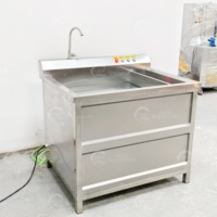 Multifunctionele ozon fruit- en groentewasmachine met roestvrijstalen pomp voor maïs, sla, kool, paprika en aloë vera
