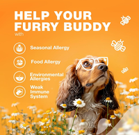 Vente en gros de probiotiques pour chiens et d'enzymes digestives pour la santé digestive Supplément de vitamines pour les allergies et le système immunitaire et les démangeaisons de la peau