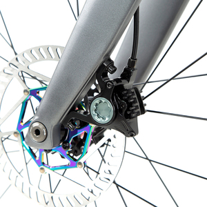 <span class=keywords><strong>Bicicletta</strong></span> da Strada in Carbonio R12pro con Cambio Rs 22s e Freno a Disco Idraulico, Bici da Corsa - Product Image 3