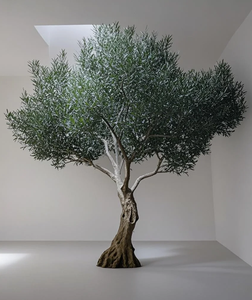Albero di Ulivo Artificiale Personalizzato di Grandi Dimensioni per Decorazione Interna ed Esterna, Giardino, Ristorante, Pianta <span class=keywords><strong>Verde</strong></span> Finta Realistica - Product Image 6