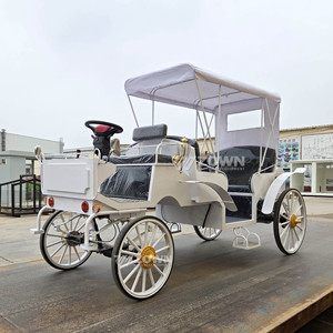 Voitures électriques de tourisme ZOWN Victoria de haute qualité, nouveau design, garantie de deux ans, origine Chine, chariot de tourisme vintage - Product Image 6