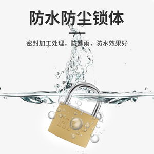 กุญแจทองเหลืองเลียนแบบ Leves กุญแจขนาดเล็กพร้อมกุญแจป้องกันการโจรกรรม กันน้ำ ใช้กลางแจ้งได้ กุญแจมาสเตอร์คีย์ สำหรับความปลอดภัยภายในบ้าน - Product Image 5