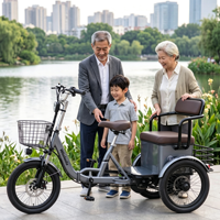 Tricycle électrique pliable pour personnes âgées et enfants, 2 places, moteur 48V 650W, panier avant/arrière, trike électrique de loisirs pour passagers