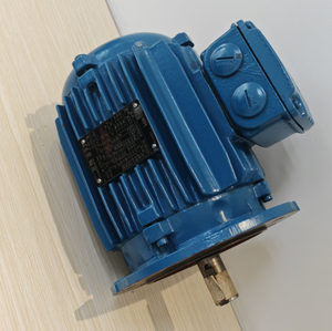 มอเตอร์เหนี่ยวนำ 3 เฟส Weg W21 W22 สำหรับขายส่ง ขนาด 11kw 15kw 18.5kw 22kw 30kw 37kw 110kw 132kw 160kw 355kw - Product Image 5