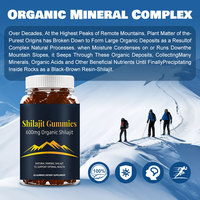 Gummies de Shilajit Bio de l'Himalaya – Complément Alimentaire Sans Sucre à la Pectine – Vente en Gros Direct Usine