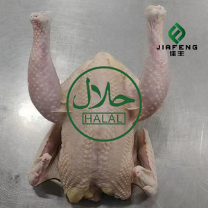 Healthy and Natural Special Price Whole Frozen <strong>Chicken</strong> with Full Specifications Available - Product Image 6
