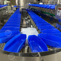 Weeg- en sorteermachine voor verpakte voedingsmiddelen voor drakenvruchten, ananas, meloen, gouden pomfret en inktvis
