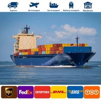 Agente de Transporte Marítimo de Alta Calidad, Servicio Completo Puerta a Puerta DDP de China a Malasia, Sin Tarifas Ocultas, Económico