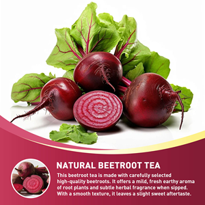 OEM ODM Prêt à expédier Sachets de tisane de betterave sans caféine, végétalien, naturel, favorise la vitalité et l'équilibre quotidien, 20 sachets - Product Image 3