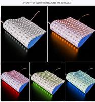 Panneau LED rétroéclairé en marbre 240*480MM RGB+2700K+6500K RGBCW 288 LED/pièce, double blanc, 5 couleurs, avec USB pour éclairage paysager