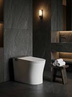 Toilette intelligente grise moderne avec design monobloc, toilette avec siège chauffant et bidet, certifiée CE, personnalisation haut de gamme ODM/OEM