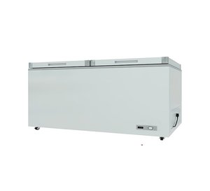 Ventes Directes Usine Congélateur Coffre Double Porte Horizontal Commercial pour Crème Glacée, Supermarché et Restaurant - Product Image 5