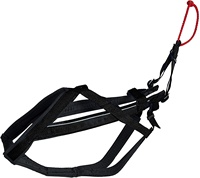 Harnais d'hiver robuste pour chien, harnais pour course à pied, Husky, exercice, luge, ski, Scooter