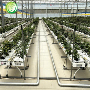 Système de culture en PVC Jiapei pour tomates, concombres et poivrons - Product Image 3