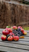 Appelfabriek Levering 2022 Nieuwe Oogst Verse Appel Groothandel Vers Fruit Rode Appelfruit Uit China