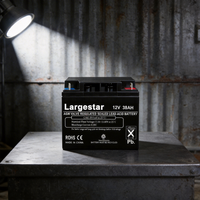 Batterie VRLA compacte 12V 38Ah GEL au plomb sans entretien LARGESTAR pour véhicules électriques et chariots élévateurs 12,5 kg