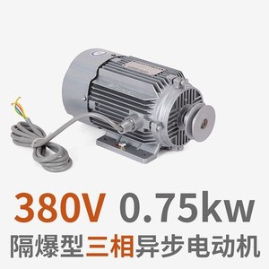 Moteur asynchrone horizontal monophasé 220V/0.75KW avec noyau en cuivre, norme nationale antidéflagrante - Product Image 4