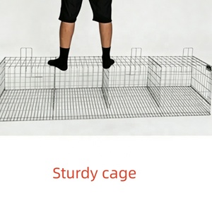 Système de cages automatiques <span class=keywords><strong>pour</strong></span> poules pondeuses de type A de haute qualité, équipement d'élevage avicole, cages à poulets en batterie galvanisées à chaud - Product Image 4