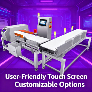 체크계량기 조합 체크계량 및 금속 검출 시스템을 갖춘 식품 등급 산업용 금속 탐지기 - Product Image 4