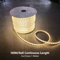 Bande lumineuse LED 120 LED 8MM 2835, 110V 220V, sans fil, double ligne, IP65, étanche, recouverte de PVC, éclairage extérieur
