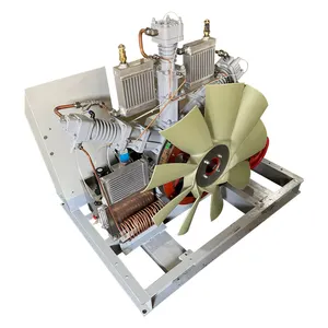 55Nm 3/h compressore Booster ossigeno Gas 150 bar 200bar compressore Booster Gas naturale ad alta pressione
