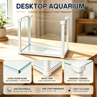 Aquarium de bureau, petit aquarium en verre ultra transparent avec cadre blanc pour poissons Betta, décoration de table pour la maison ou le bureau